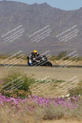 media/Feb-04-2023-SoCal Trackdays (Sat) [[8a776bf2c3]]/Turn 15 Inside Blooming (1050am)/